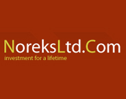 NOREKS BUILD Ltd. logo