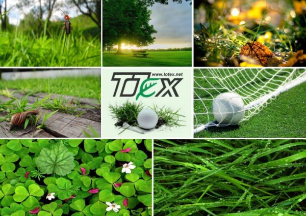 TOTEX Ltd. logo