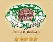 Villa Stresov logo