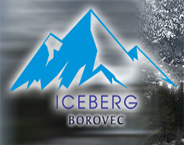 Iceberg logo