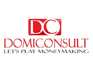 Domiconsult Ltd. logo