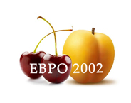 Euro 2002 logo