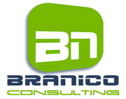 Branico Consulting logo