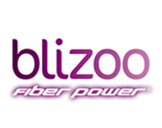 Blizoo Ltd logo