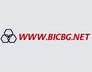 Bulgarian Internet Company Ltd logo