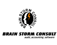 BRAIN STORM CONSULT logo
