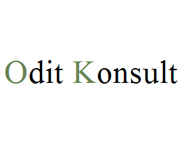 Odit consult Ltd logo
