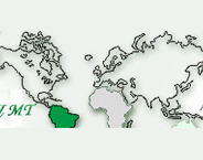 Lingvist MT logo