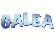 Galea translation agency logo