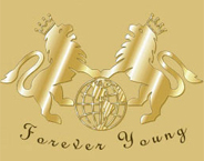 Lions electronics Bulgaria logo