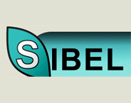 Panimex logo