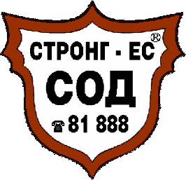 STRONG-S LTD logo