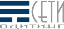 SETY Auditing Ltd. logo