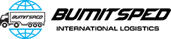BUMISPED Ltd. logo