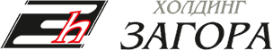 Holding Zagora logo