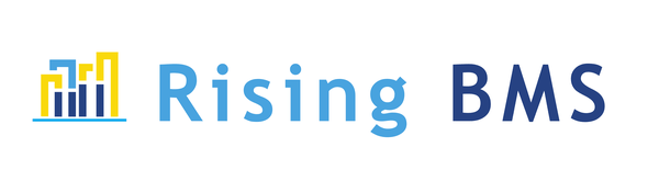 Rising - BMS Ltd. logo