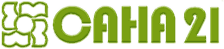 SANA 21 logo