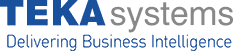 Teka Systems logo