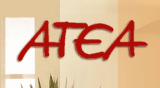 ATEA Ltd logo