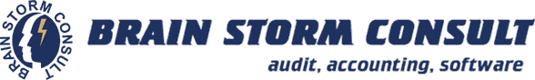 BRAIN STORM CONSULT logo