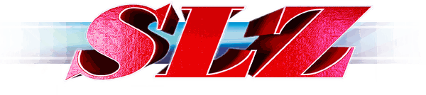 Счетоводна Къща SLZ Варна logo