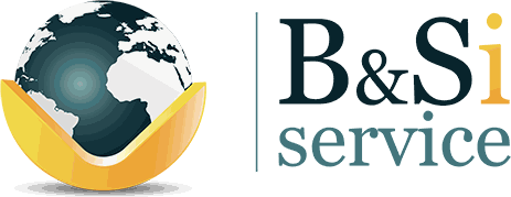 B&Si Service logo