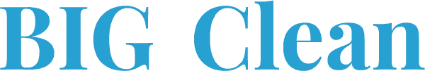BIG Clean logo