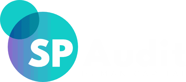 SP Audit logo