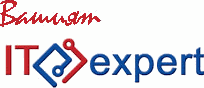 IT Expert logo