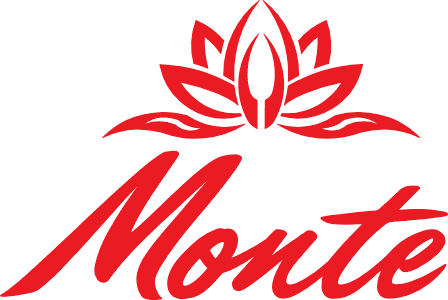 Monte Casino logo