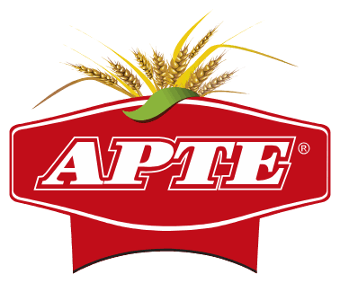Arte logo