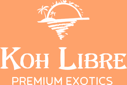 KohLibre.Life logo