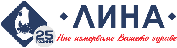LINA Laboratory logo