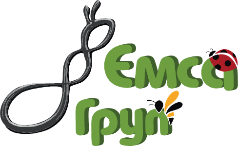 EMSA Group logo