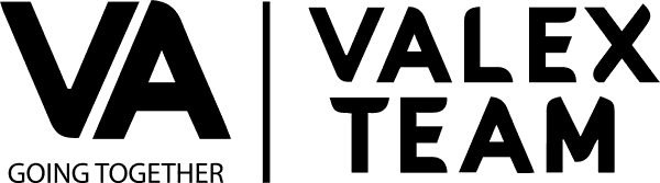 Valex Team logo