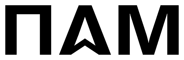 PAM Customs Agency logo
