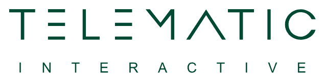 Telematic Interactive Bulgaria logo