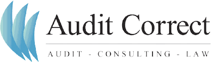 Audit Correct logo