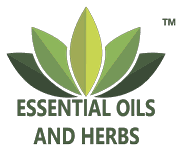 Essential Oils And Herbs logo