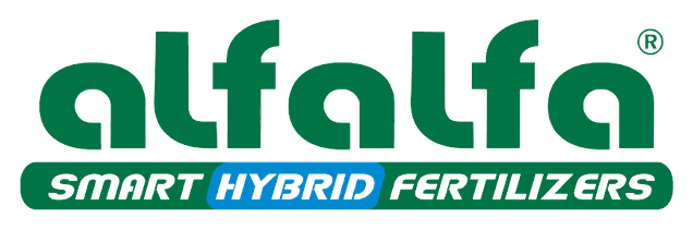 AlfaAlfa logo