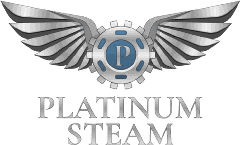 Platinum Steam logo