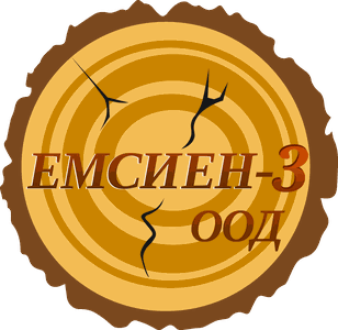 EMSIEN logo