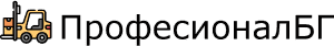 Professional BG logo