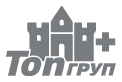 Top Group Plus logo