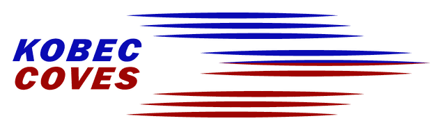 KOVES logo