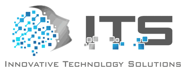 ITS logo