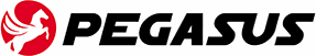 Pegasus Group logo