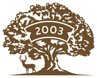 Stariya Chinar logo