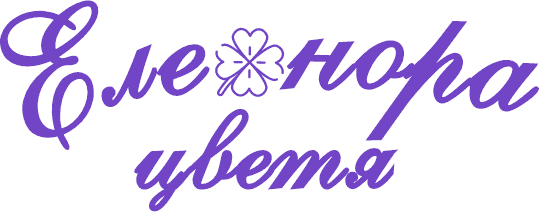 Tsvetya Eleonora logo
