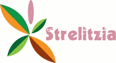 Strelitzia Flower Shop logo